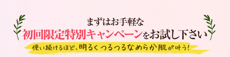 �y�f���y�X�m�[�p�E�_�[�E�H�b�V���z(���T�C�g